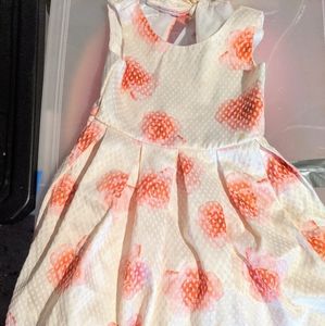 Little Girls Size 5 Dress